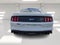 2019 Ford Mustang GT Premium Fastback