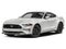 2019 Ford Mustang GT Premium Fastback